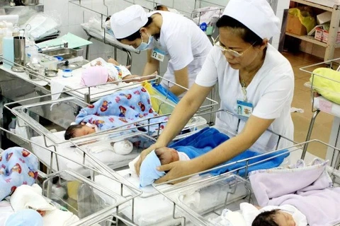 Nurses are taking care of newborns (Photo: VNA)